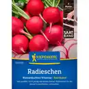 Bild 1 von Kiepenkerl Radieschen Raphanus Raphanus sativus »Riesenbutter«, einjährig