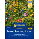 Bild 1 von Kiepenkerl Blumenmischung »Peters Farbexplosion«, einjährig