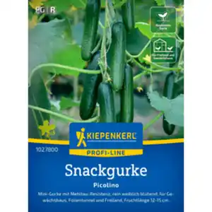 Kiepenkerl Snackgurke Cucumis sativus »Picolino F1«, einjährig