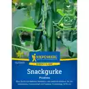 Bild 1 von Kiepenkerl Snackgurke Cucumis sativus »Picolino F1«, einjährig