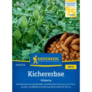 Kiepenkerl Kichererbse Cicer Cicer arietinum »Vittoria«, einjährig