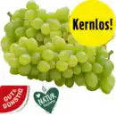 Bild 1 von Tafeltrauben hell