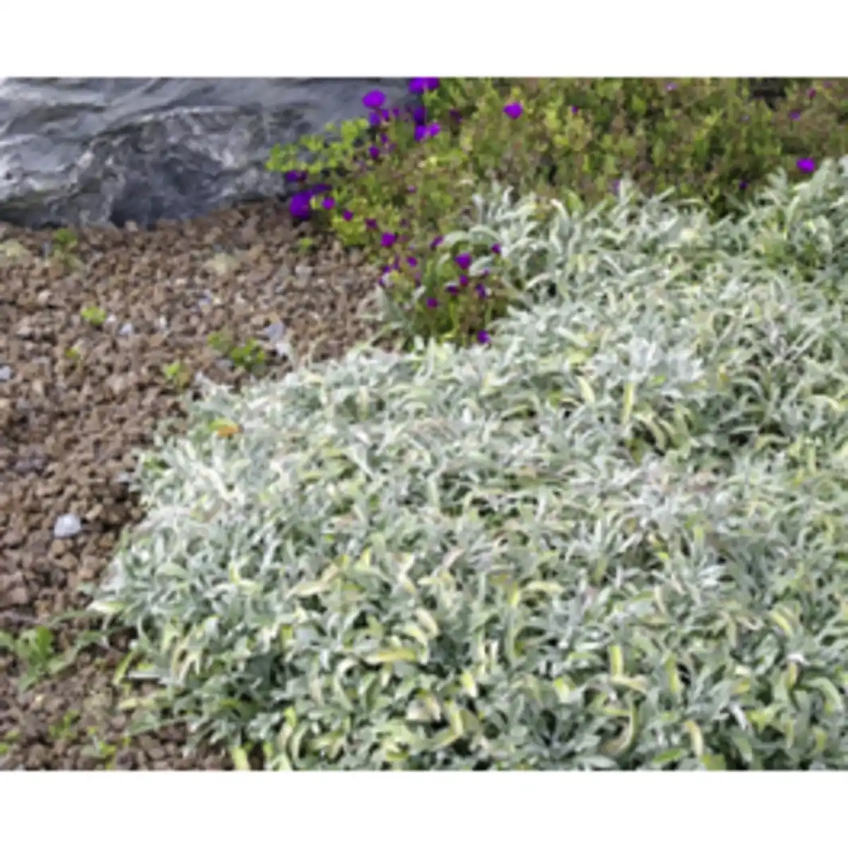 Bild 3 von Mr. GARDENER Lavamulch, Körnung: 8 mm - 16 mm, 20 kg, rotbraun