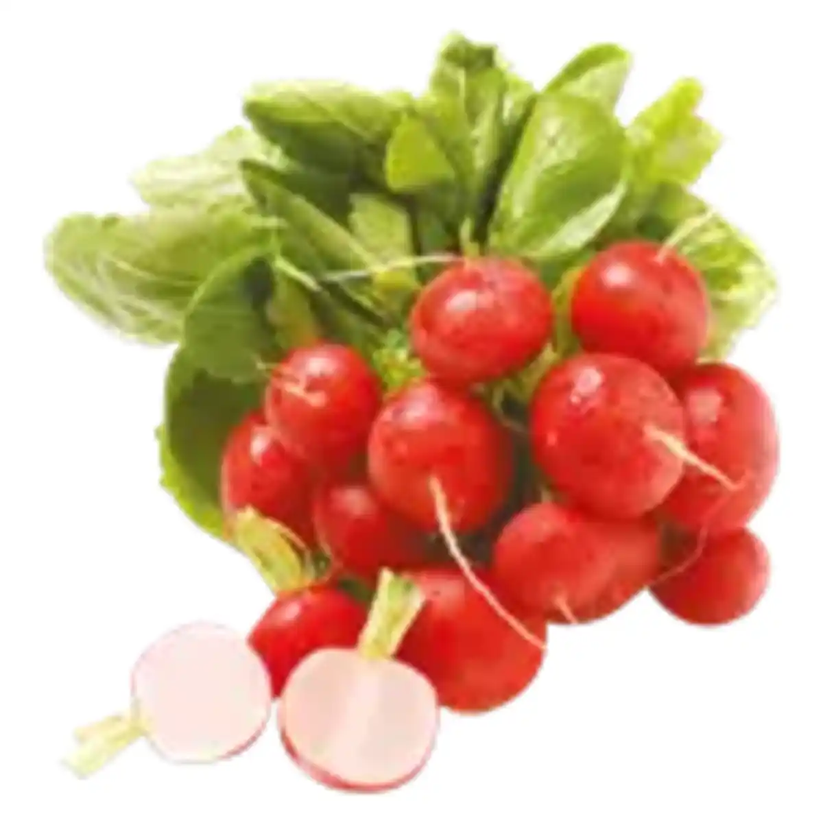 Bild 1 von Radieschen
