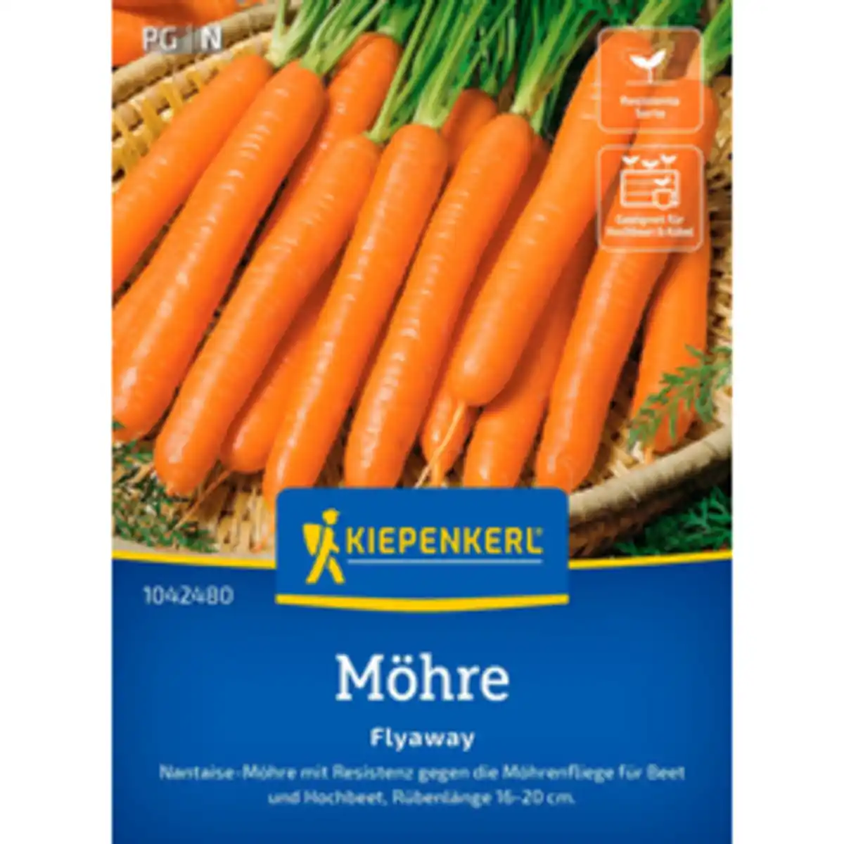 Bild 1 von Kiepenkerl Möhre Daucus carota »Flyaway F1«, einjährig