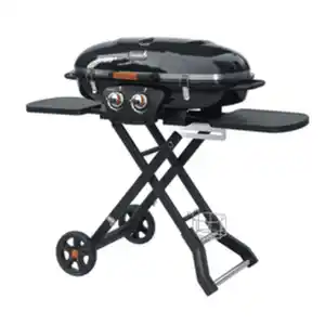 THOR Gasgrill »Cambridge Travel BBQ«, 2 Brenner, 5,9 kW, klappbar, rollbar