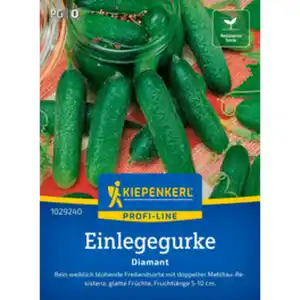 Kiepenkerl Einlegegurke Cucumis sativus »Diamant F1«, grün