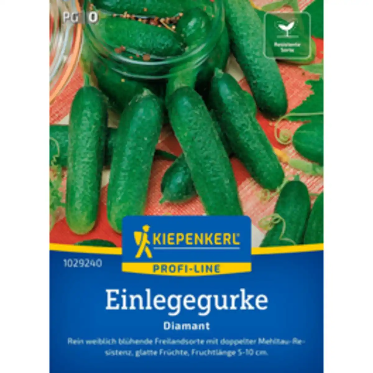 Bild 1 von Kiepenkerl Einlegegurke Cucumis sativus »Diamant F1«, grün
