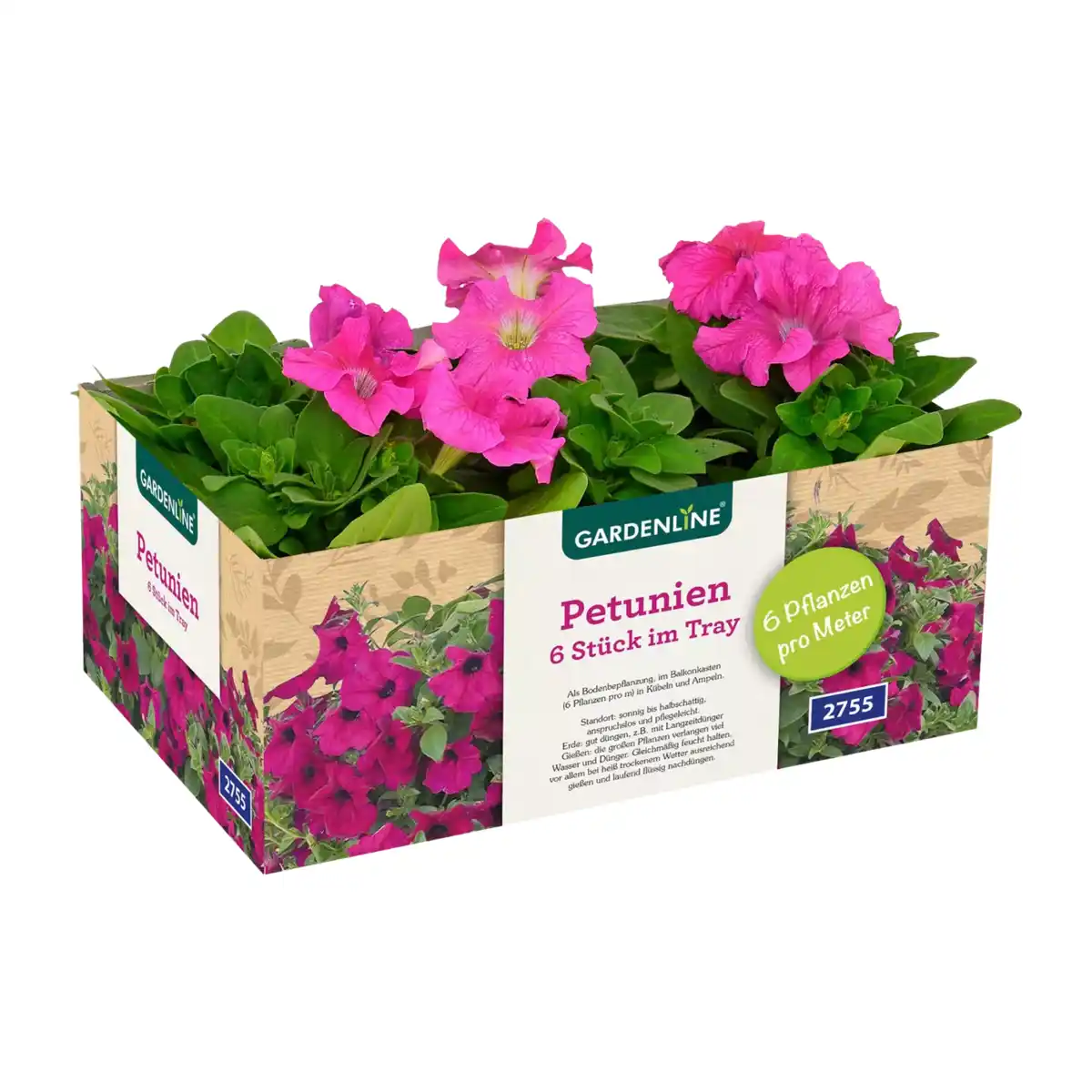 Bild 2 von GARDENLINE Beet- / Balkon- / Kübelpflanzen