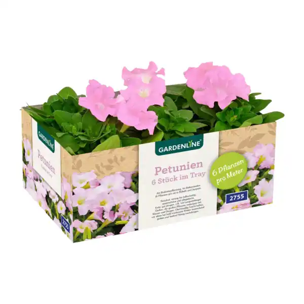 Bild 3 von GARDENLINE Beet- / Balkon- / Kübelpflanzen