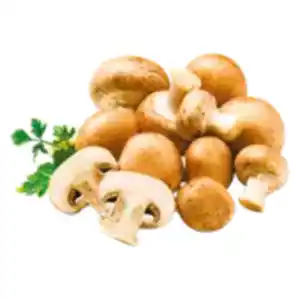Kulturchampignons braun