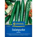 Bild 1 von Kiepenkerl Salatgurke Cucumis Cucumis sativus »Saladin«, einjährig