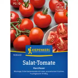 Kiepenkerl Salattomate Solanum esculentum »Harzfeuer F1«, rot