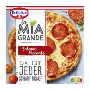 DR. OETKER La Mia Grande Salame Piccante