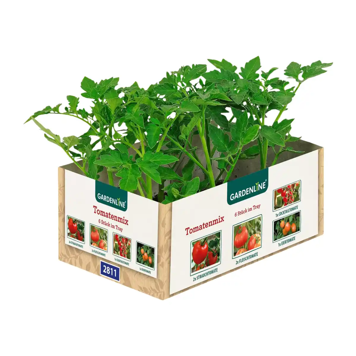 Bild 2 von GARDENLINE Tomatenpflanzen