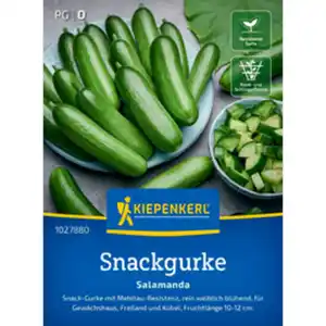 Kiepenkerl Snackgurke Cucumis Cucumis sativus »Salamanda F1«, einjährig