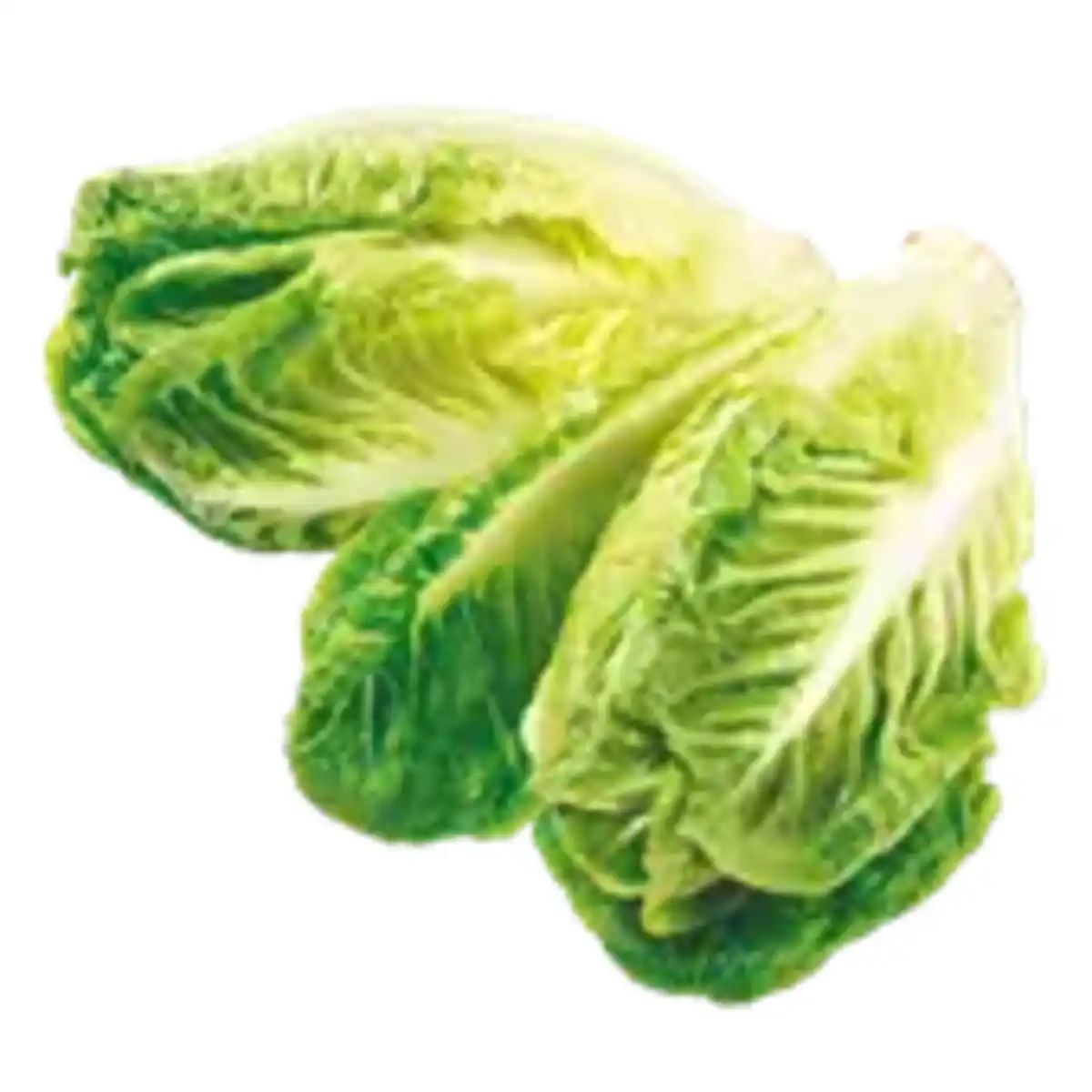 Bild 1 von Mini Romana