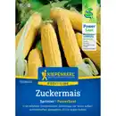 Bild 1 von Kiepenkerl Zuckermais Zea Zea mays »Sprinter«, einjährig