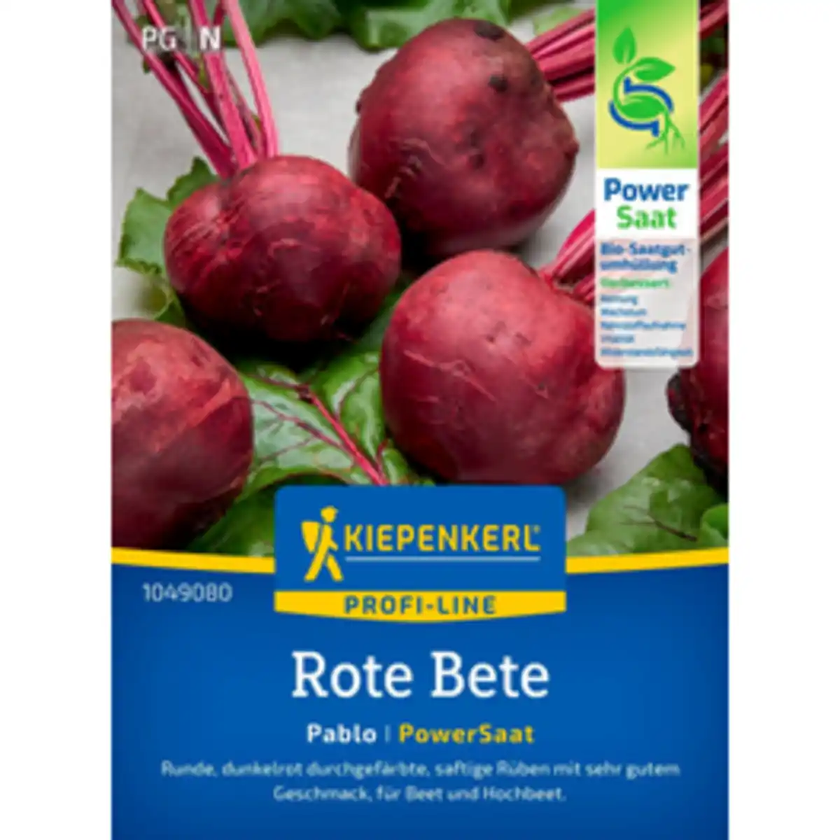 Bild 1 von Kiepenkerl Rote Bete Beta Beta vulgaris »Pablo«, einjährig