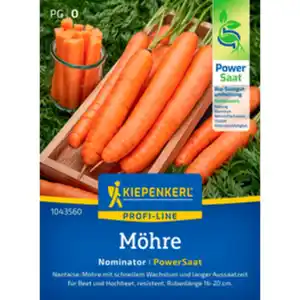 Kiepenkerl Möhre Daucus Daucus carota »Nominator«, einjährig