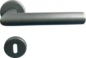 TrendLine Türgriff-Garnitur BB Edelstahl kaschmiergrau Ø 49,1 mm