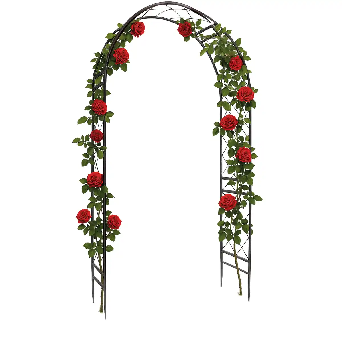 Bild 1 von Rosenbogen 'Oxford' 124 x 36 x 238 cm schwarz