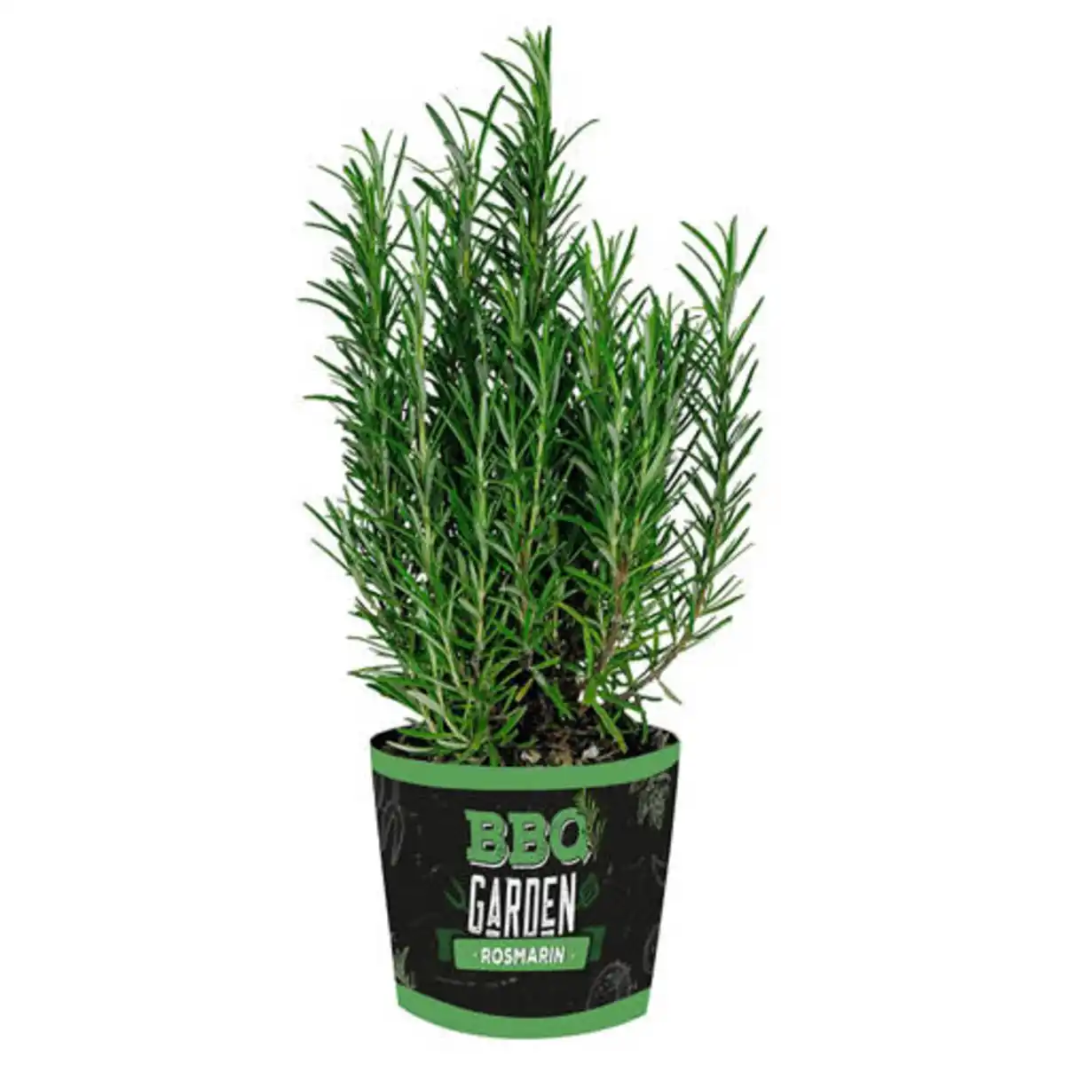 Bild 1 von GARDENLINE Grill- und Cocktailkräuter, Rosmarin