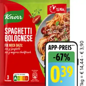 Knorr Fix