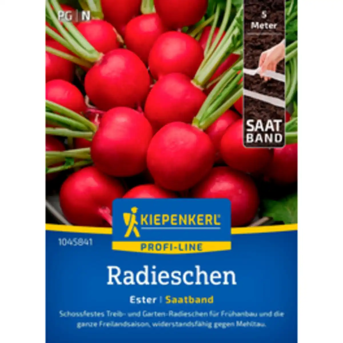 Bild 1 von Kiepenkerl Radieschen Raphanus sativus »Ester«, einjährig