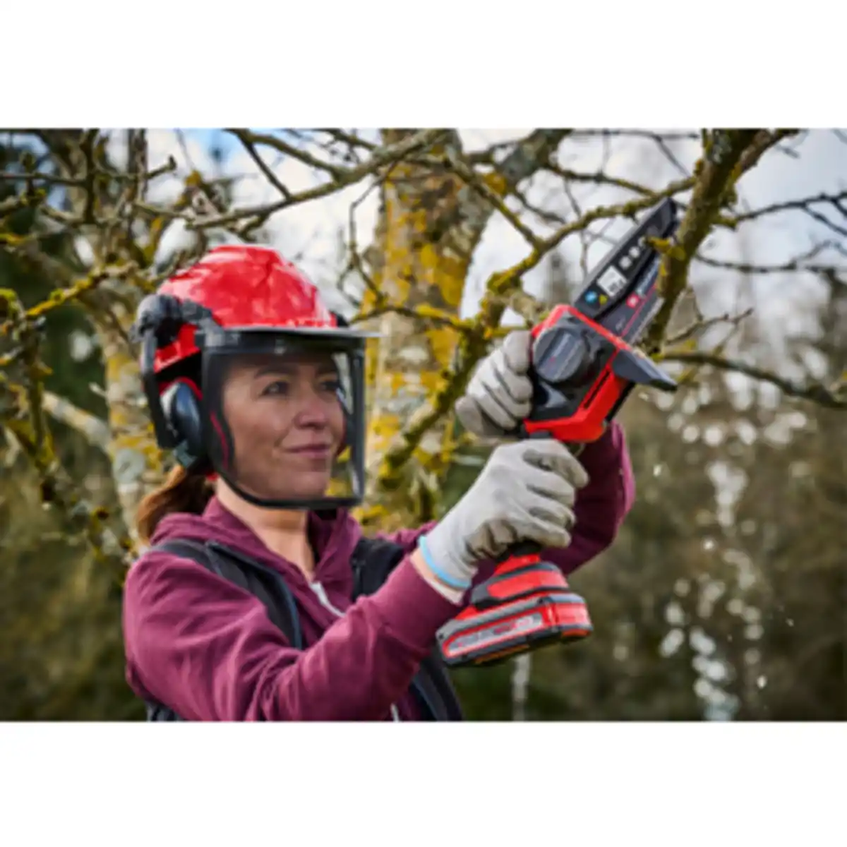 Bild 2 von EINHELL Kettenöl, für Astkettensägen, 0,2 Liter