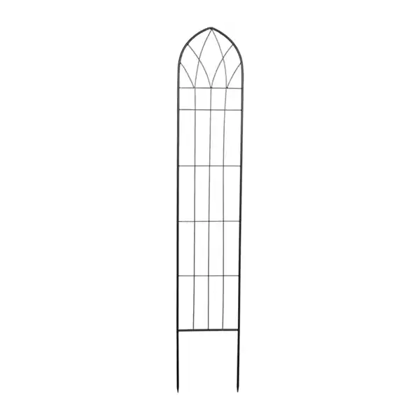 Bild 2 von BELAVI Rankspalier