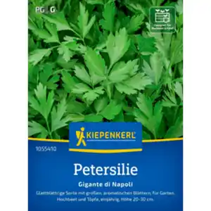Kiepenkerl Petersilie Petroselinum crispum »Gigante di Napoli«, einjährig