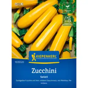 Kiepenkerl Zucchini Cucurbita Cucurbita pepo »Soleil F1«, einjährig