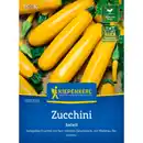 Bild 1 von Kiepenkerl Zucchini Cucurbita Cucurbita pepo »Soleil F1«, einjährig