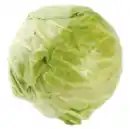 Bild 1 von Weißkohl