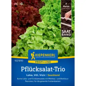 Kiepenkerl Pflücksalat Lactuca sativa »Loka/Vili/Vizir«, einjährig