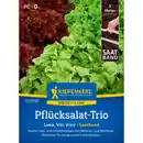 Bild 1 von Kiepenkerl Pflücksalat Lactuca sativa »Loka/Vili/Vizir«, einjährig