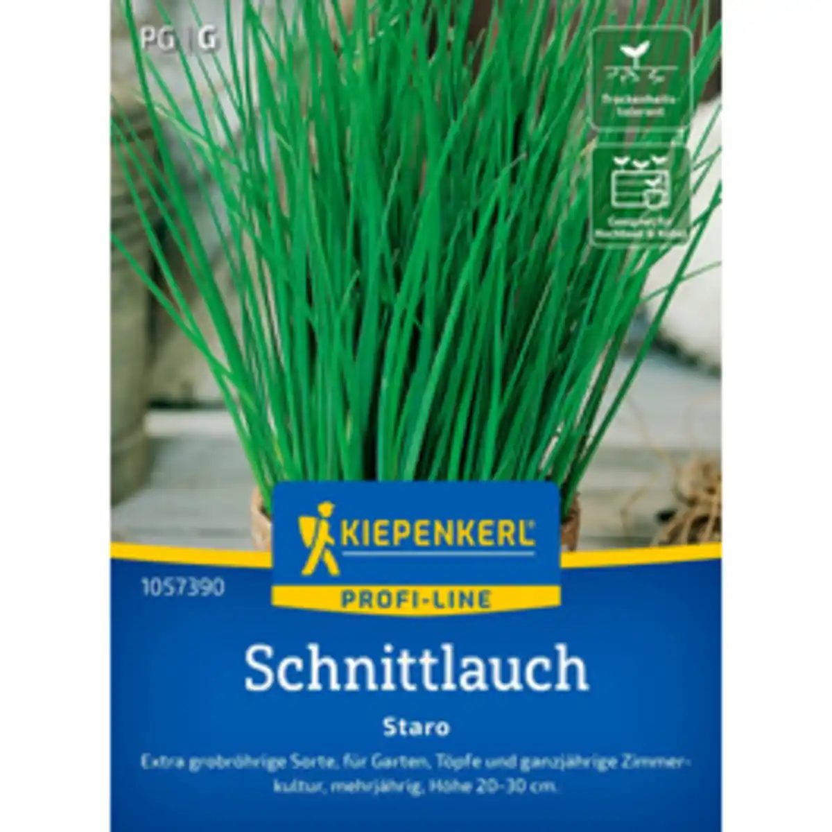 Bild 1 von Kiepenkerl Schnittlauch Allium schoenoprasum »Staro«, mehrjährig