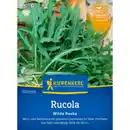 Bild 1 von Kiepenkerl Rucola Wilde Rauke Diplotaxis sativa »tenuifolia«, einjährig