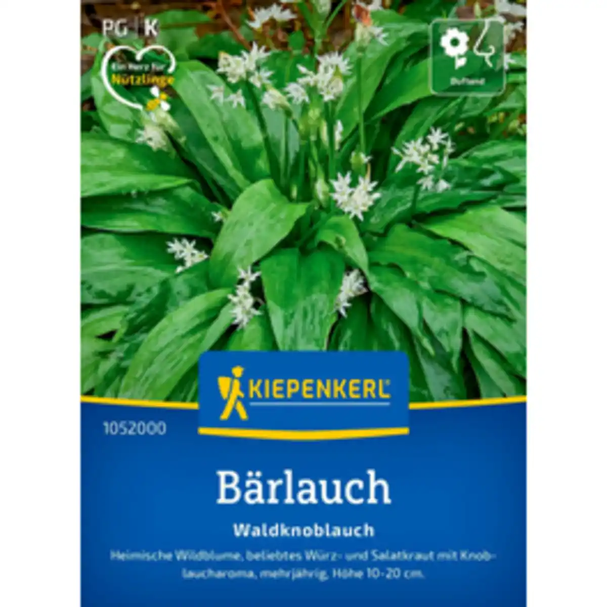 Bild 1 von Kiepenkerl Bärlauch Allium Allium ursinum »Waldknoblauch«, mehrjährig