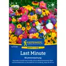Bild 1 von Kiepenkerl Blumenmischung »Last Minute«, einjährig