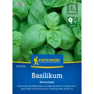Kiepenkerl Basilikum Ocimum Ocimum basilicum »Genoveser«, einjährig