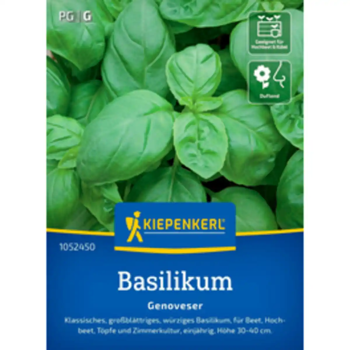 Bild 1 von Kiepenkerl Basilikum Ocimum Ocimum basilicum »Genoveser«, einjährig