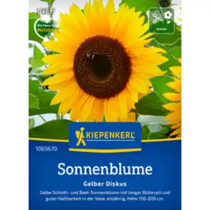 Kiepenkerl Sonnenblume Helianthus Helianthus annuus »Gelber Diskus«, einjährig