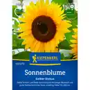 Bild 1 von Kiepenkerl Sonnenblume Helianthus Helianthus annuus »Gelber Diskus«, einjährig