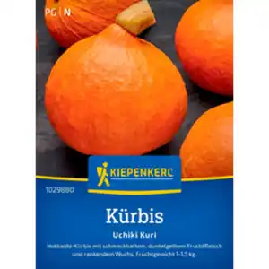 Kiepenkerl Hokkaido-Kürbis Cucurbita Cucurbita maxima »Uchiki Kuri«, einjährig