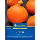 Bild 1 von Kiepenkerl Hokkaido-Kürbis Cucurbita Cucurbita maxima »Uchiki Kuri«, einjährig