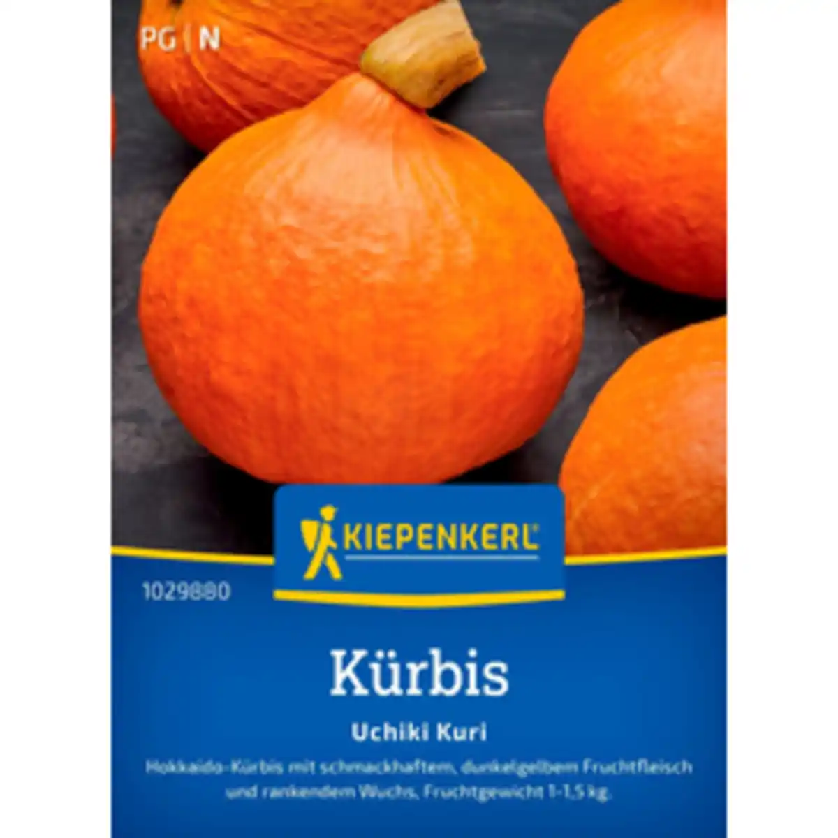 Bild 1 von Kiepenkerl Hokkaido-Kürbis Cucurbita Cucurbita maxima »Uchiki Kuri«, einjährig