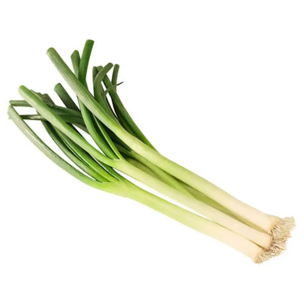 Bild 1 von Lauchzwiebeln, Bund