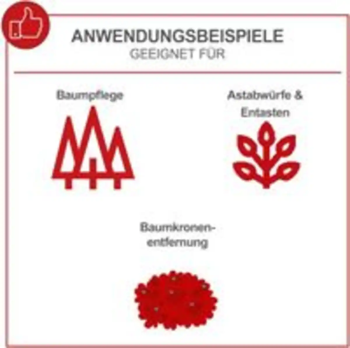 Bild 3 von Benzin-Baumpflegesäge PCS26